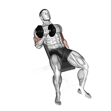 dumbbell incline curl