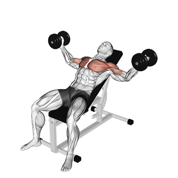 dumbbell incline fly