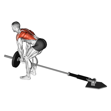 lever bent-over row with v-bar