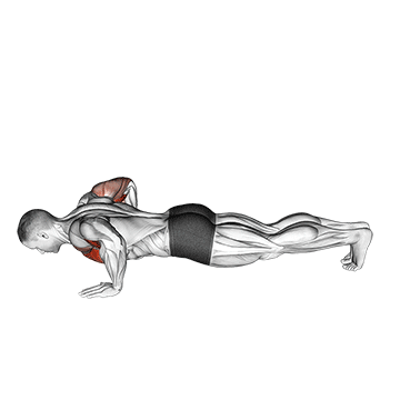 chest tap push-up (male)