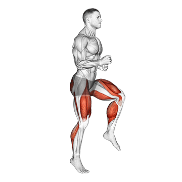 half knee bends (male)