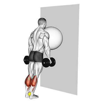 exercise ball on the wall calf raise (tennis ball between ankles)