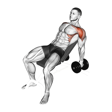 dumbbell incline raise