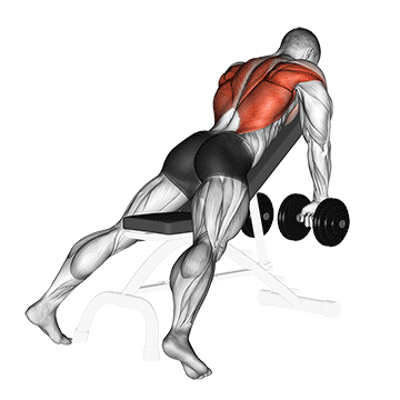 dumbbell incline row