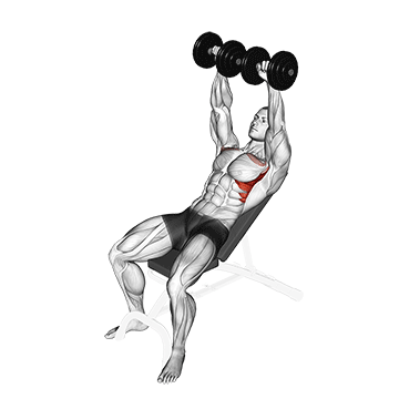 dumbbell incline shoulder raise