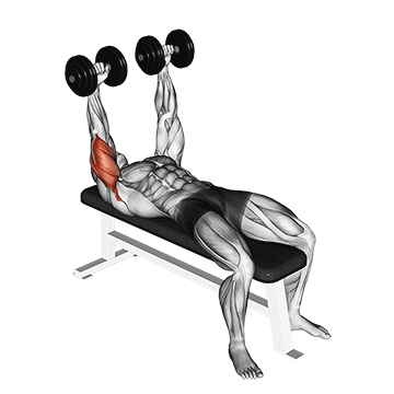 dumbbell lying extension (across face)