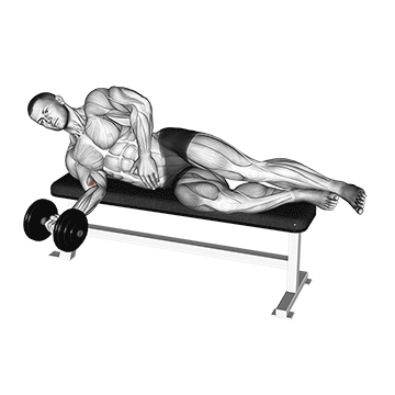 dumbbell lying pronation