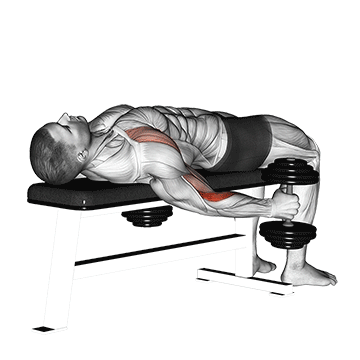 dumbbell lying supine curl