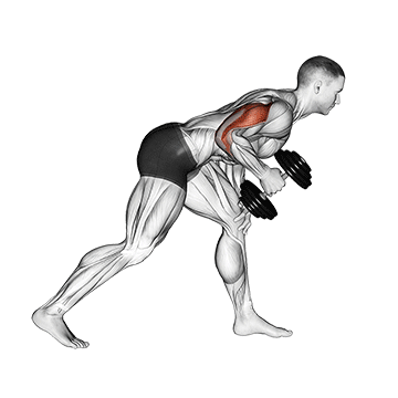 dumbbell one arm kickback