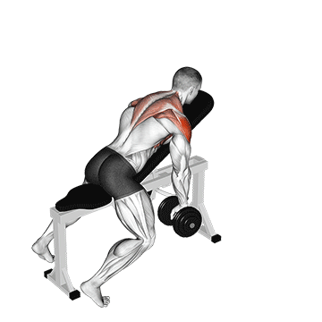 dumbbell incline y-raise
