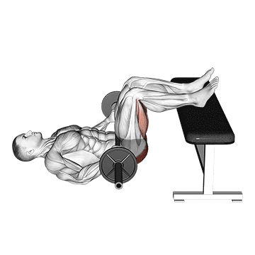 barbell glute bridge two legs on bench (male)