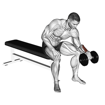 dumbbell one arm reverse wrist curl