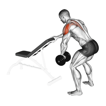 dumbbell one arm reverse fly (with support)