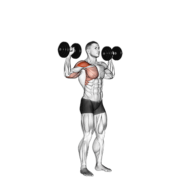 dumbbell one arm shoulder press