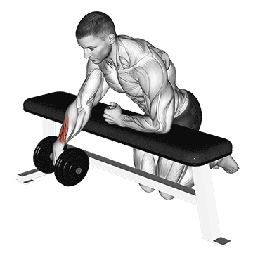 dumbbell over bench one arm wrist curl