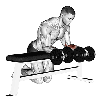 dumbbell over bench revers wrist curl