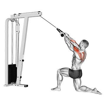 cable kneeling rear delt row (with rope) (male)