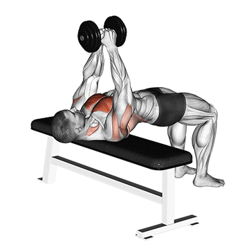 dumbbell pullover
