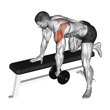 dumbbell rear delt row_shoulder