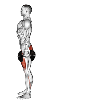 dumbbell rear lunge