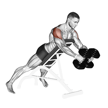 dumbbell reverse fly