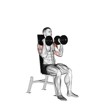 dumbbell seated alternate press