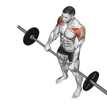 barbell front raise