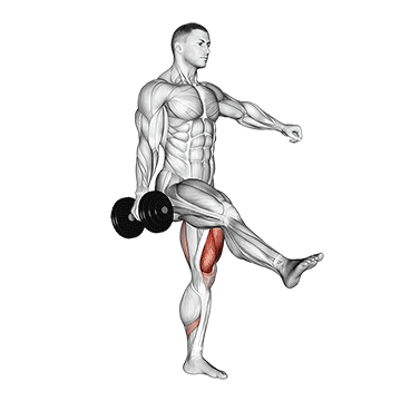 dumbbell single leg squat