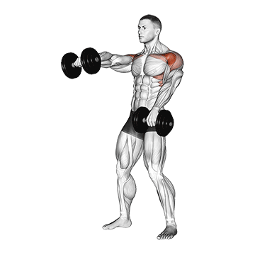dumbbell standing alternate raise