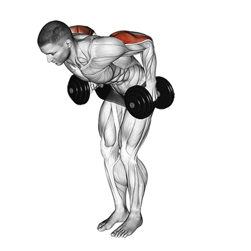 dumbbell standing kickback