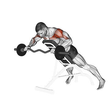 ez barbell anti gravity press