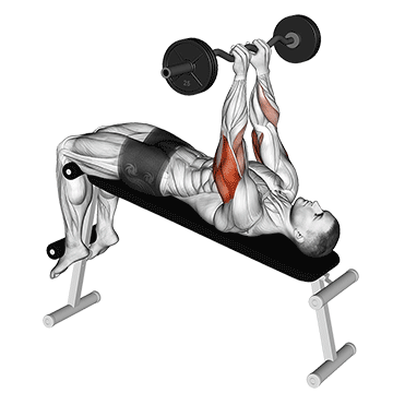 ez barbell decline close grip face press