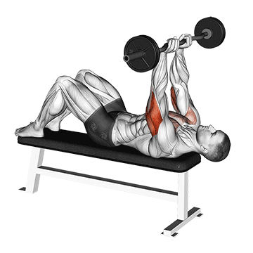 ez barbell jm bench press