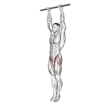 hanging leg raise