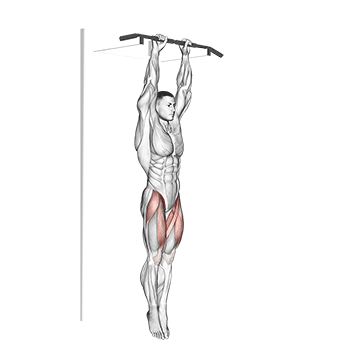 hanging straight leg raise