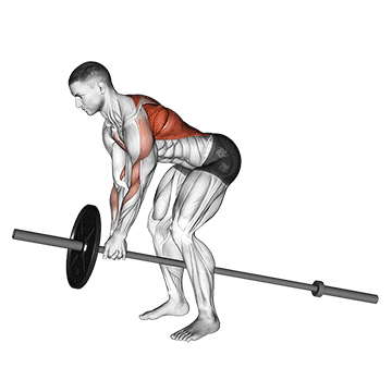 lever bent over row