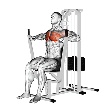 lever chest press