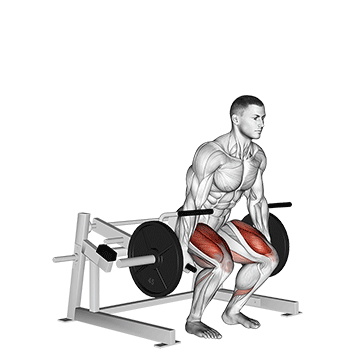 lever deadlift