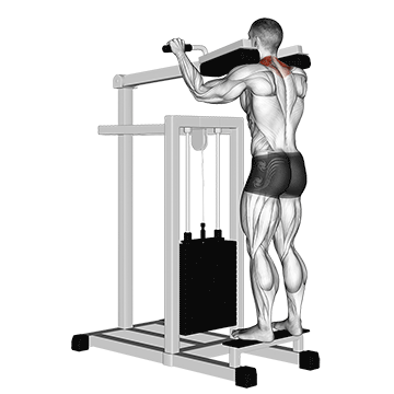 lever gripless shrug