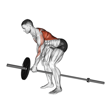 lever one arm bent over row