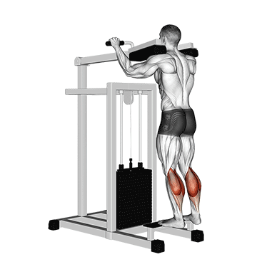 lever standing calf raise
