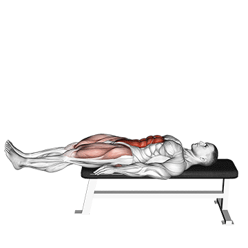 lying leg raise flat bench