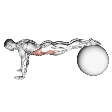 pull-in (on stability ball)