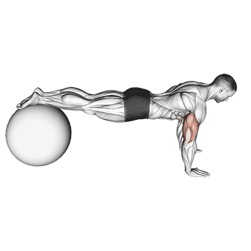 push-up (on stability ball)