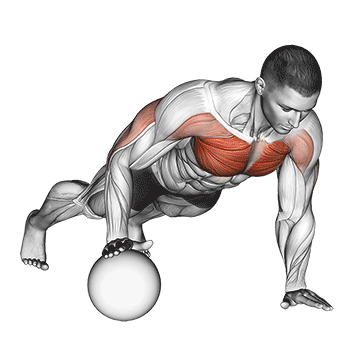 push-up medicine ball