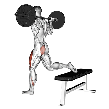 barbell one leg squat