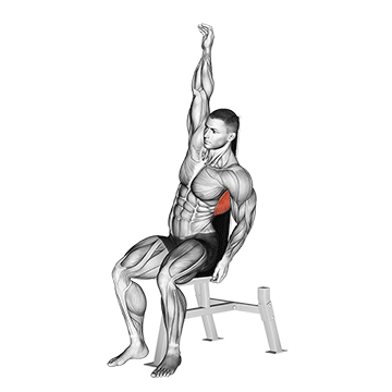 seated lower back stretch