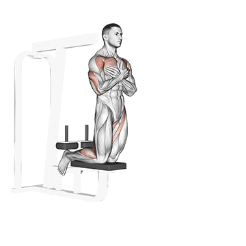 self assisted inverse leg curl