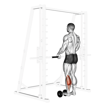 single leg calf raise (on a dumbbell)