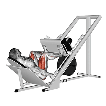 sled 45в° leg wide press